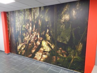 MDN Performance / Toile tendue