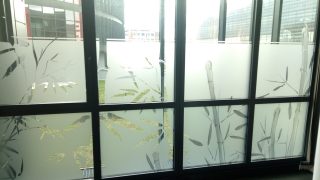 Cabinet de podologie / vitres dépolies