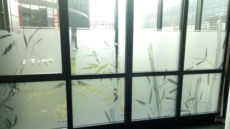 Cabinet de podologie / vitres dépolies
